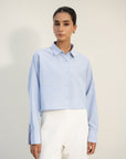Hi Lo Button Down